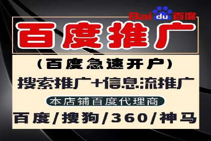 sem托管服务实战案例：精准定位，广告投放效果显著